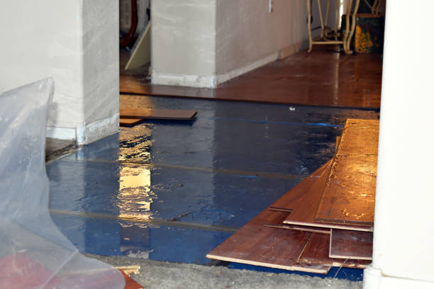 Professional Basement Flood Cleanup technician working in Danville, AR